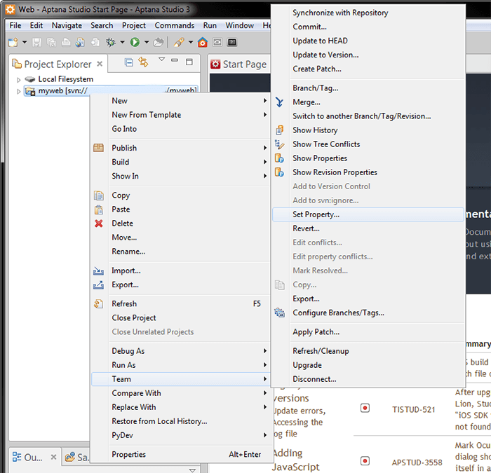 SVN command in Aptana Studio 3